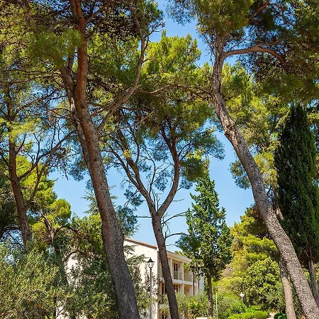 Otel Aminess Vival Casa Velaris 3*