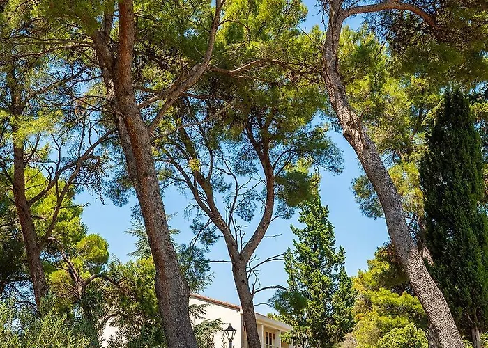 Ξενοδοχείο Aminess Vival Casa Velaris 3*